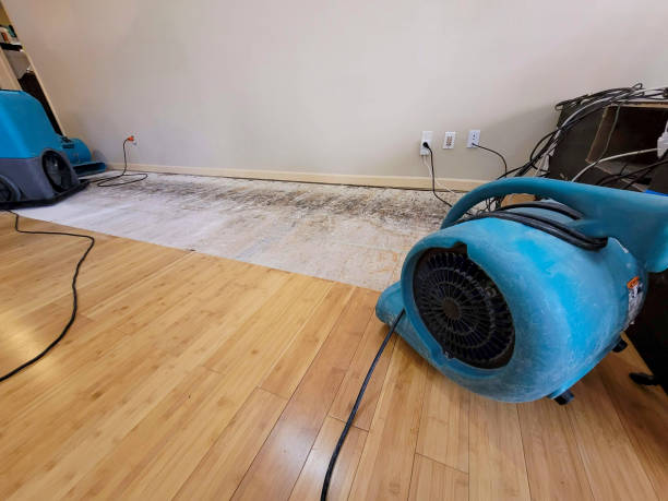 Professional Water Damage Repair technician working in Westphalia, IA